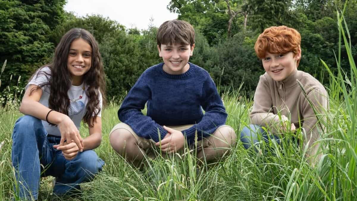 Harry Potter TV cast