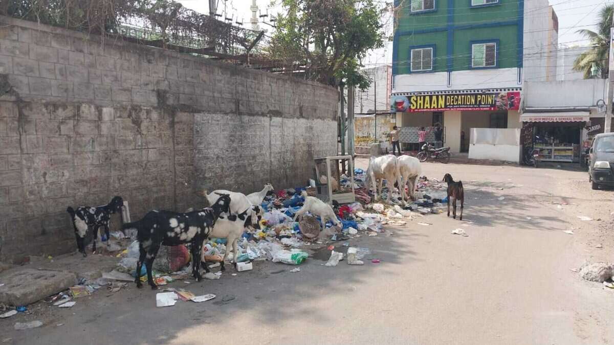 Area near mosque in Chandrayangutta turns into garbage dump.
