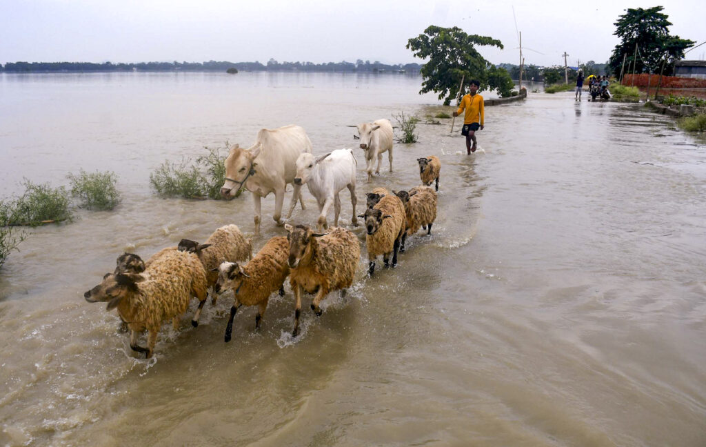 Photos Assam Flood Remains Critical With 2 6 Lakh Still Affected Photos Assam Flood Remains Critical With 2 6 Lakh Still Affected