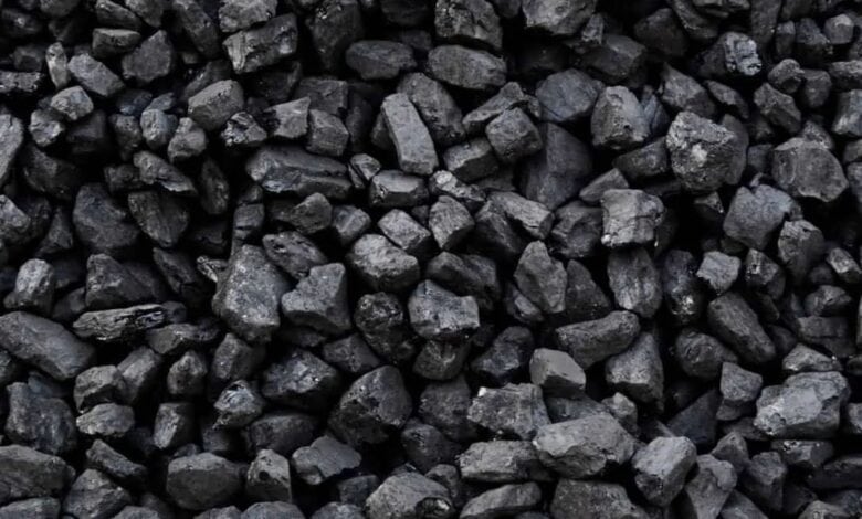 Coal India OFS opens for non-retail subscription