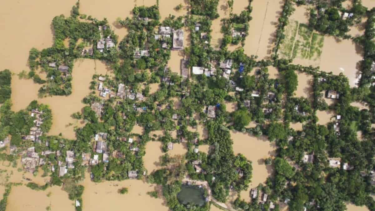 Flood in Odisha's Balasore district