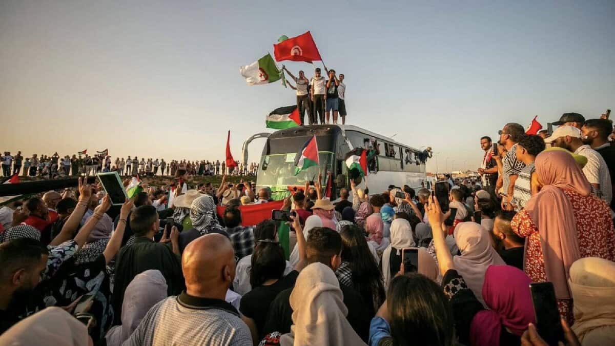 A large crowd of activists gathers around a bus as part of the Global March to Gaza. Several people stand on top of the bus waving Palestinian, Tunisian, and Algerian flags, while others cheer and film the scene with their phones. The sun sets in the background.