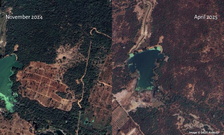 Image shows Kancha Gachibowli land in November 2024 and April 2025