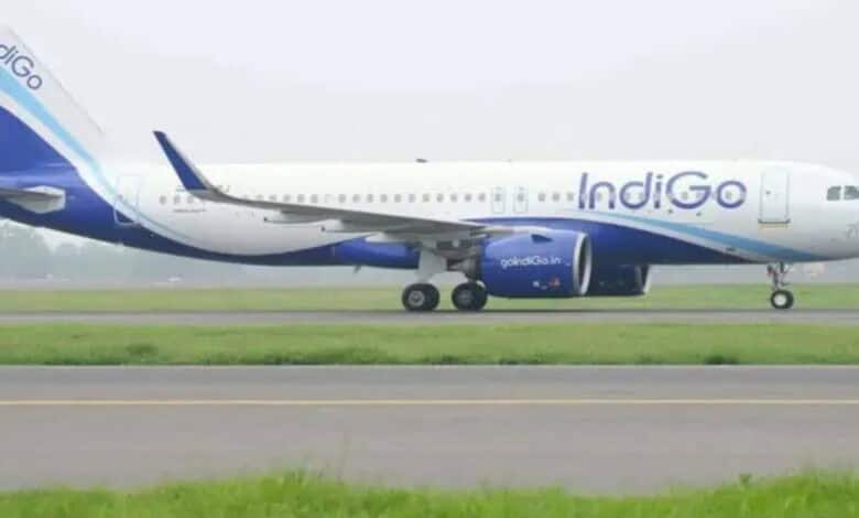 Indigo