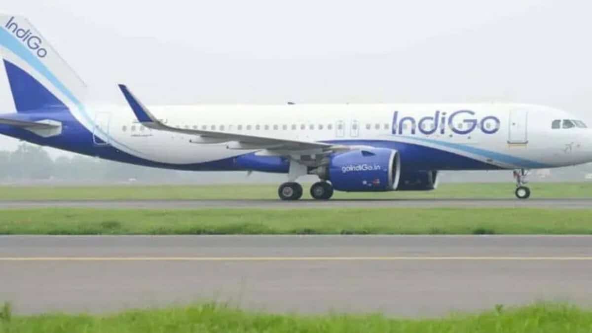 Indigo