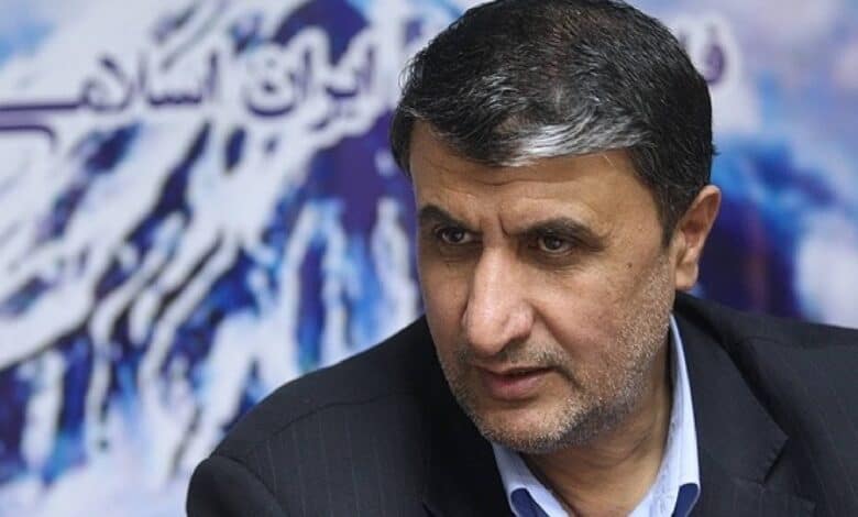 The image of a Head of the Atomic Energy Organization of Iran Mohammad Eslami