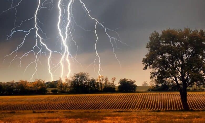Six farmers including five women killed in lightning strikes in Adilabad district on Thursday, June 12, 2025.