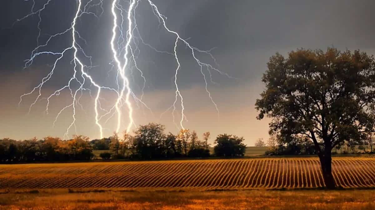 Six farmers including five women killed in lightning strikes in Adilabad district on Thursday, June 12, 2025.