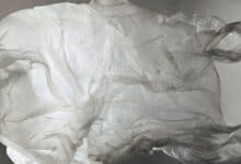 The image of a crumpled, translucent plastic bag floats against a blurred grey background.