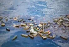 Plastic waste floats in a water body for a story on plastic ban in Hyderabad
