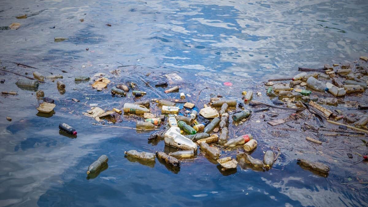 Plastic waste floats in a water body for a story on plastic ban in Hyderabad