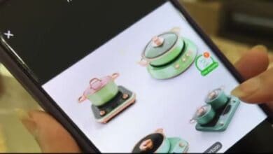 Woman orders stickers instead of essentials in Dubai