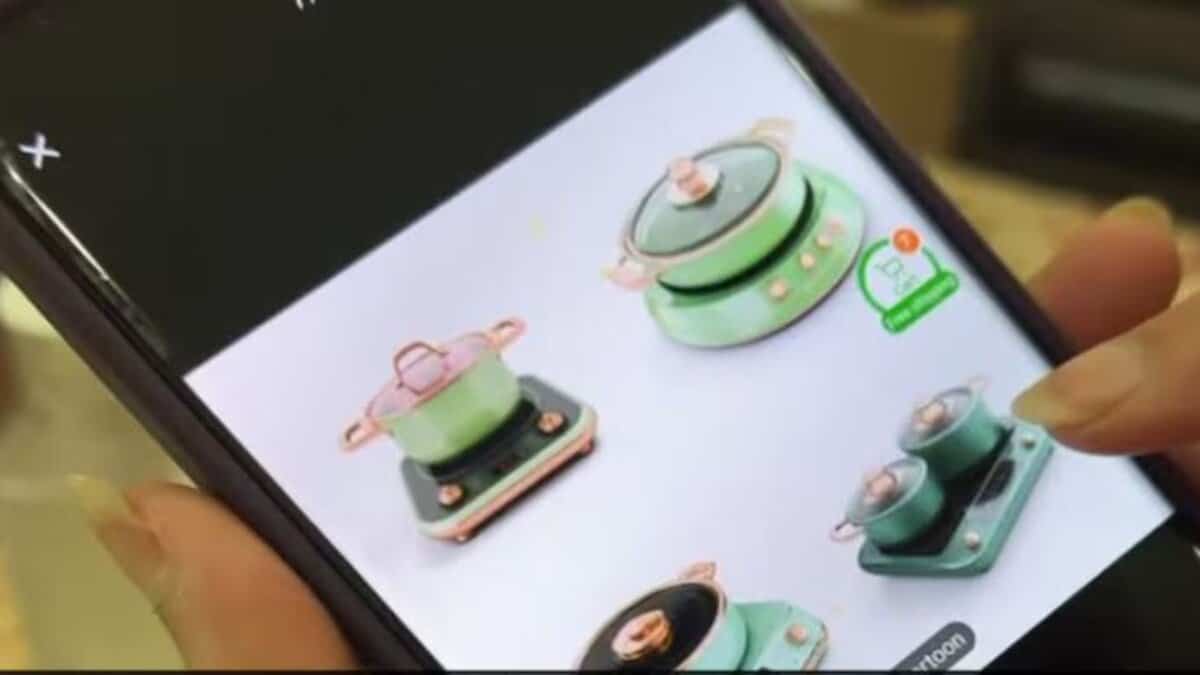 Woman orders stickers instead of essentials in Dubai