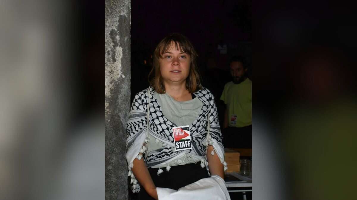 The image displays a picture of Greta Thunberg