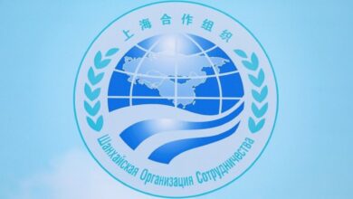A logo of Shanghai Corporation Organisation