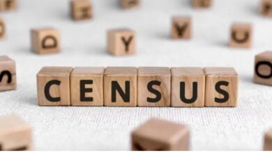 A Representational image for population census