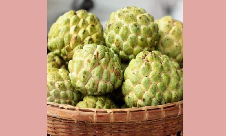 Balanagar Custard Apple