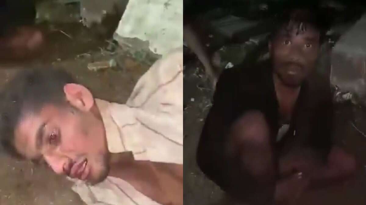 cow vigilante in madhya pradesh