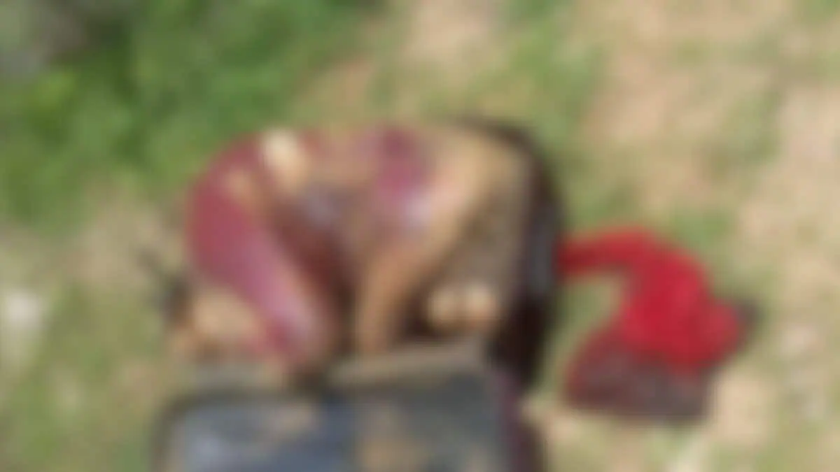 Woman's body found in suitcase in Bachupally in Hyderabad