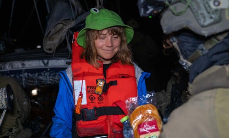 The image of Swedish climate activist Greta Thunberg.