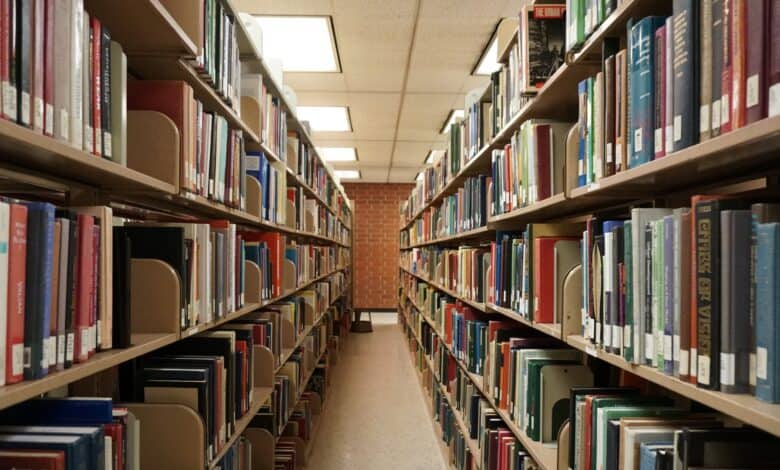 Shrinking public spaces; re-imagining libraries