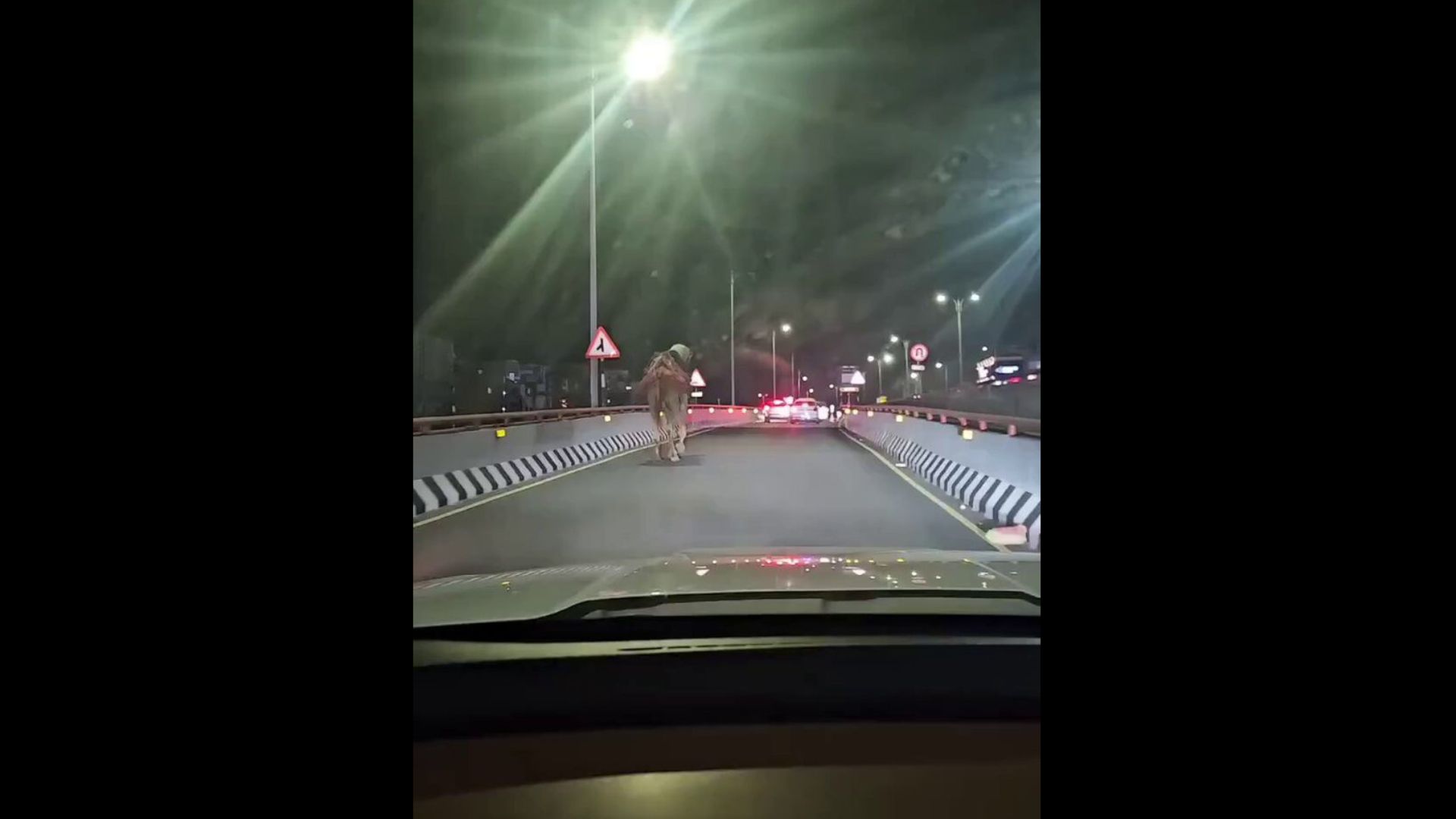Man rides camel on PVNR Expressway in Hyderabad