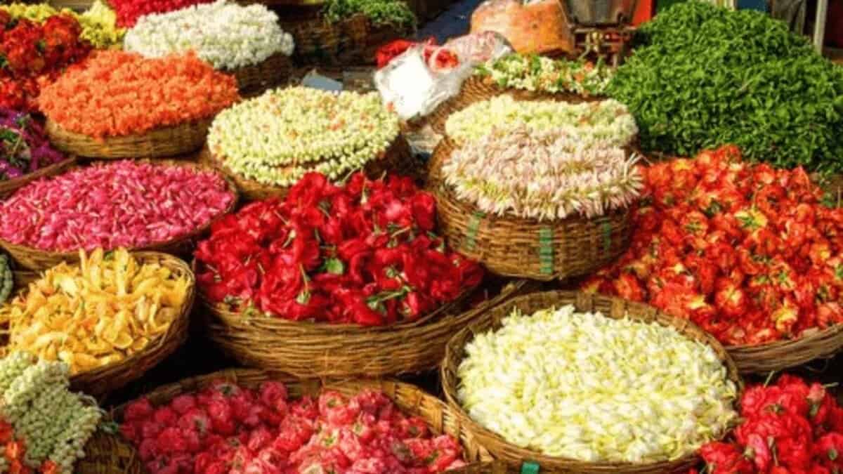 Flowers