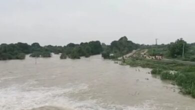 Ajmer reels from waterlogging