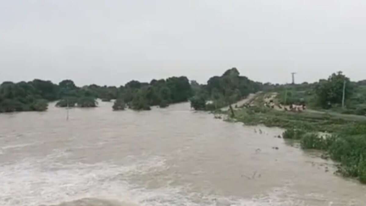 Ajmer reels from waterlogging