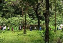 Dharmasthala forest
