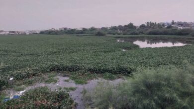 Gurram Cheruvu reduced to polluted water body