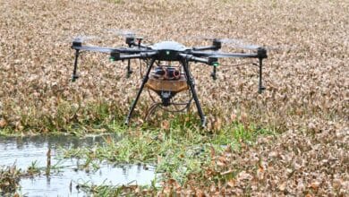 Drone used to fog and spray at Banjara lake in anti mosquito drive