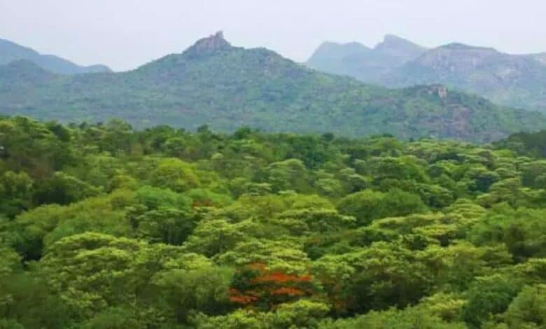 The forest land ownership tussle between the Multanis of Adilabad and the forest department comes to the fore again.