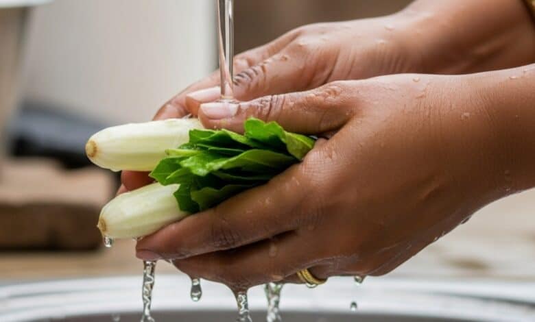 One nation, many kitchens: A decentralised approach to safe food