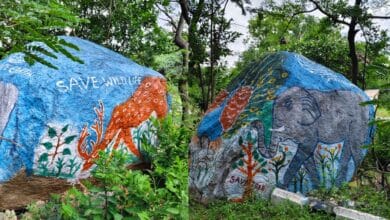 OU librarian brings rocks to life by spreading message of saving nature inside the OU campus.