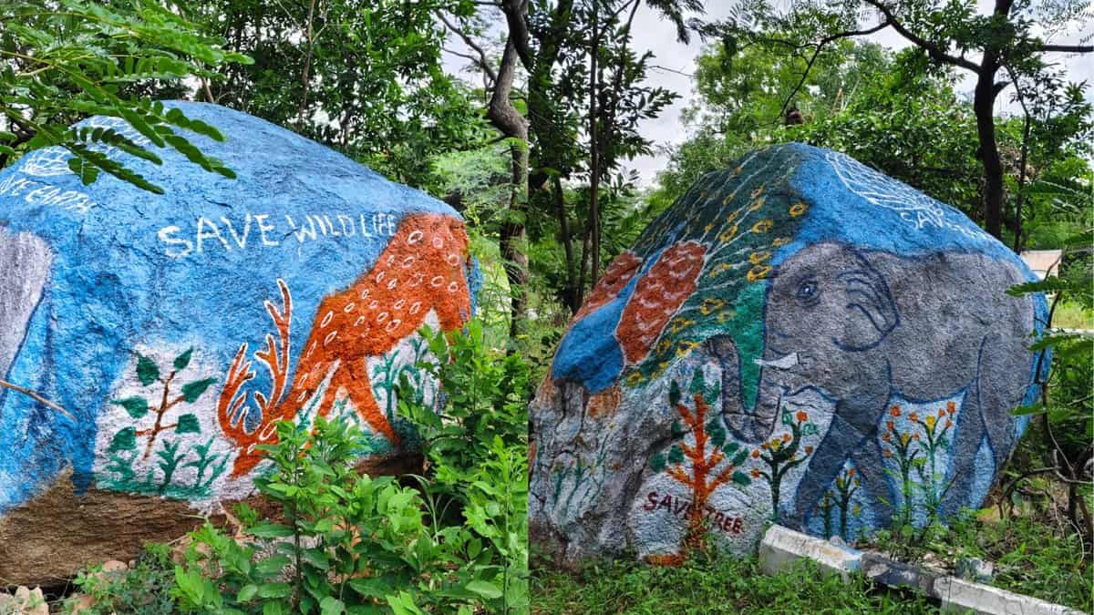 OU librarian brings rocks to life by spreading message of saving nature inside the OU campus.