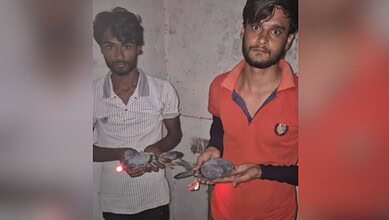 Two men held in Uttar Pradesh for disguising pigeons as drones