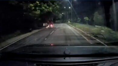 Leopard attack in Tirumala