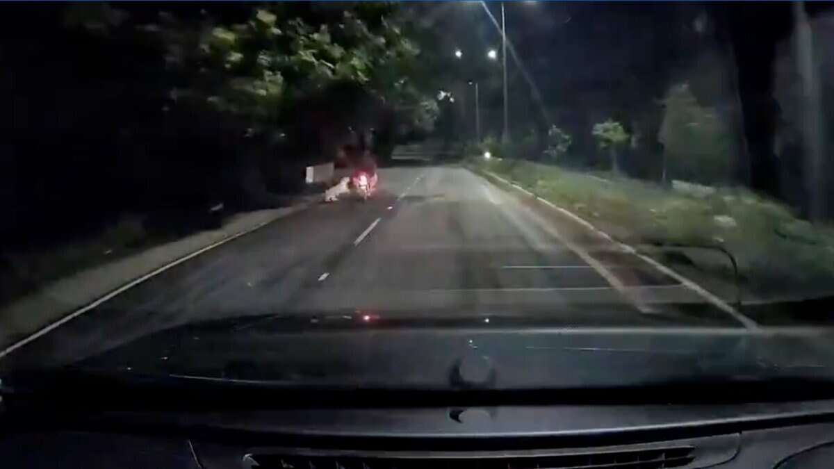 Leopard attack in Tirumala