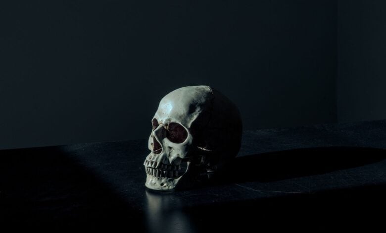 Human skeletal remains found in locked Nampally house