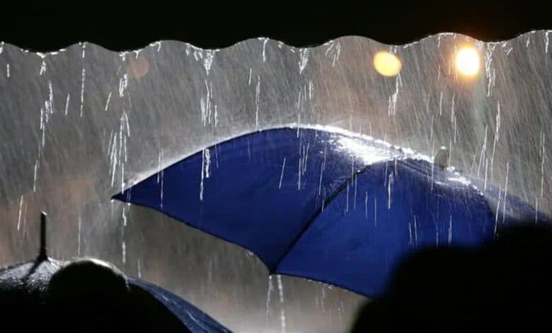 Telangana officials put on high alert due to incessant rains across the state.