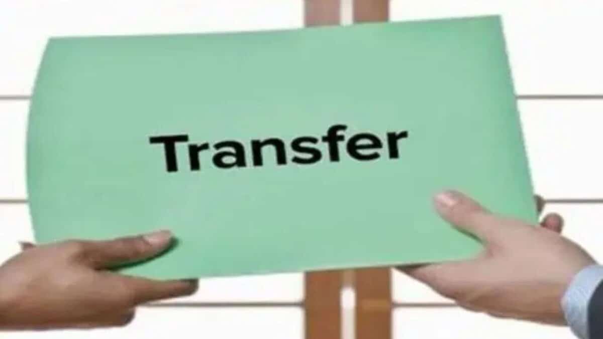 A picture depicting transfers used for representational purpose