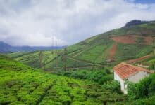 hill station
