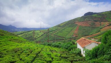 hill station