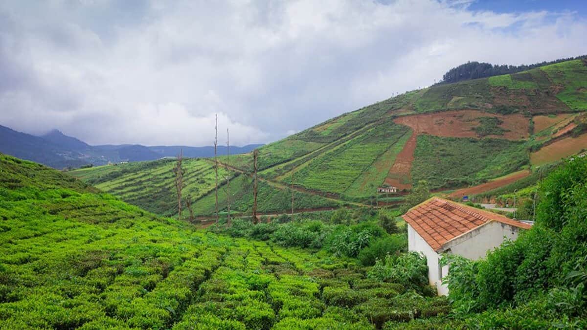 hill station