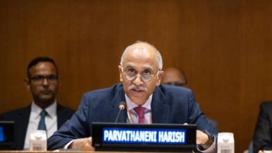 Indian envoy Parvathaneni Harish speaks at the UN Security Council debate.