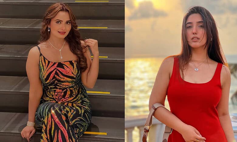 Bigg Boss 19 contestants Neelam and Ashnoor