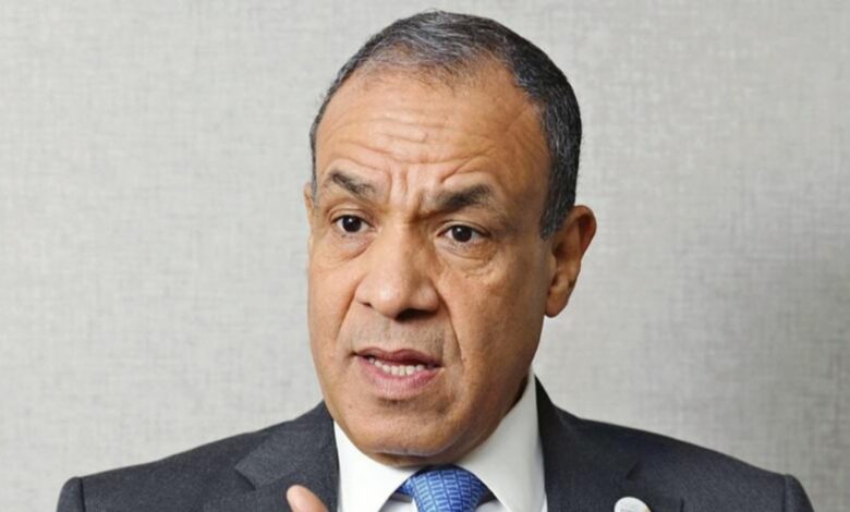 The image of Egypt’s foreign minister Badr Abdelatty