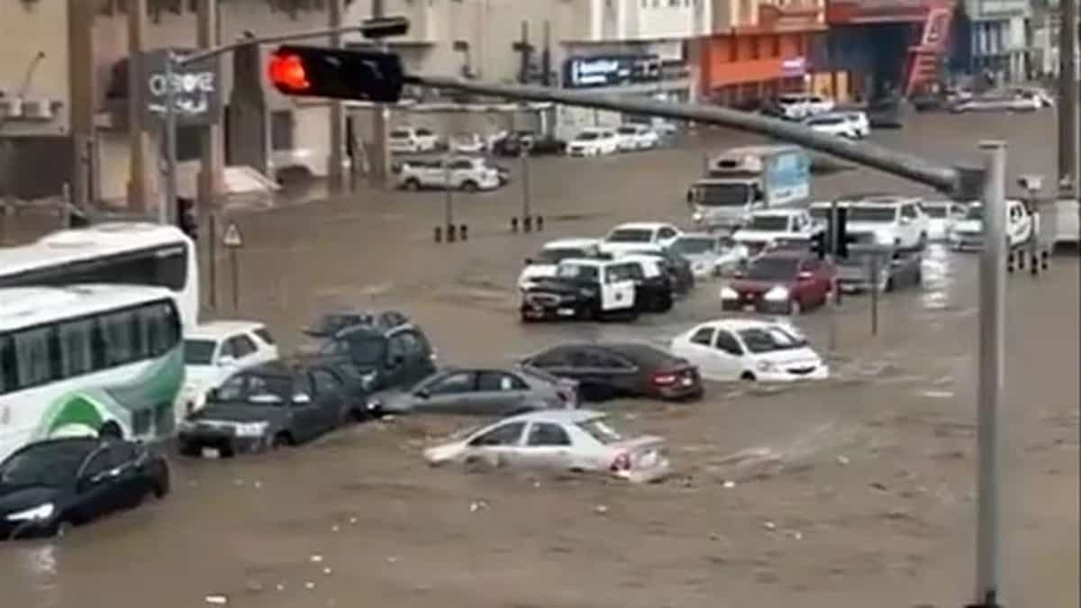 Representative image of a flooded street in Makkah, with cars and a bus partially submerged in muddy water, surrounded by buildings and traffic lights showing red.