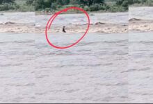 A man was washed away in Nirmal distric of Telangana on Saturday.